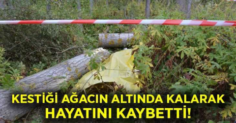 Kestiği ağacın altında kalan yaşlı adam hayatını kaybetti