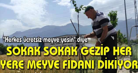 Sokak sokak gezip her yere meyve fidanı dikiyor