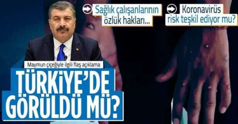Maymun çiçeği Türkiye'de görüldü mü? Bakan Koca'dan açıklama