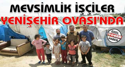 MEVSİMLİK İŞÇİLER YENİŞEHİR OVASI'NDA