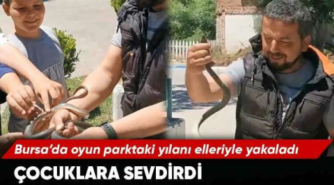 Parktaki yılanı elleriyle yakaladı çocuklara sevdirdi