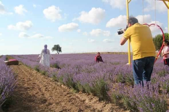 İstanbul'un yanı başındaki Tekirdağ'da mor günler başladı