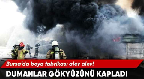 Bursa’da boya fabrikası alev alev yandı