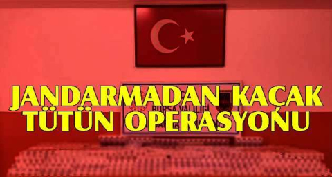 Jandarmadan kaçak tütün operasyonu