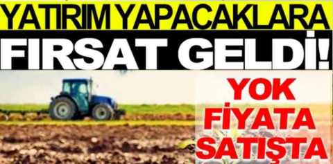 Kırklareli Lüleburgaz'da 25.900 m² tarla mahkemeden satılıktır