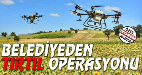 BELEDİYEDEN TIRTIL OPERASYONU