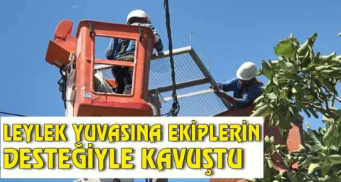  Leylek yuvasına ekiplerin desteğiyle kavuştu