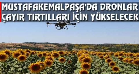Mustafakemalpaşa'da dronlar çayır tırtılları için yükselecek