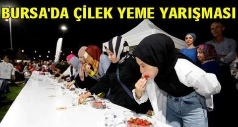 Bursa'da çilek yeme yarışması
