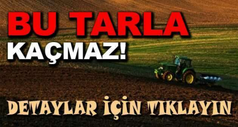 Edirne Enez'de 5.000 m² tarla mahkemeden satılıktır ( çoklu satış )