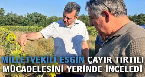 Milletvekili Esgin çayır tırtılı mücadelesini yerinde inceledi