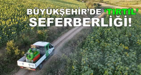 Büyükşehir’de ‘tırtıl’ seferberliği