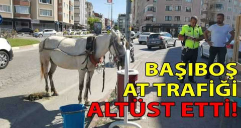 Başıboş at trafiği altüst etti