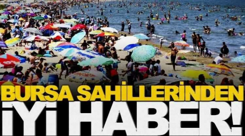 Bursa sahillerinden sevindiren haber