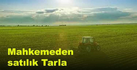 Kırklareli Lüleburgaz'da 17.800 m² tarla mahkemeden satılıktır