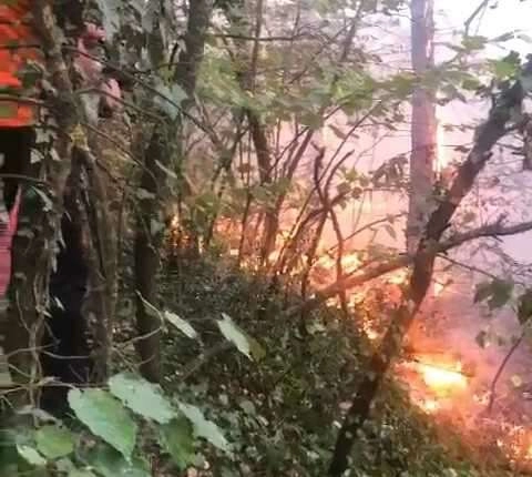 Uludağ'ın eteklerinde korkutan yangın