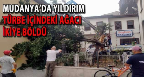 Mudanya’da yıldırım türbe içindeki ağacı ikiye böldü