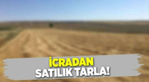 Kilis Merkez'de 8700 m2 tarım arazisi icradan satılıktır (çoklu satış)