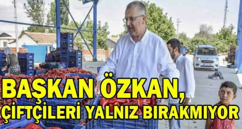Başkan Özkan, biber üreticilerinin hasadına katıldı