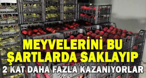 Meyvelerini bu şartlarda saklayıp 2 kat daha fazla kazanıyorlar