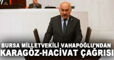 Bursa Milletvekili Vahapoğlu'ndan Karagöz-Hacivat çağrısı