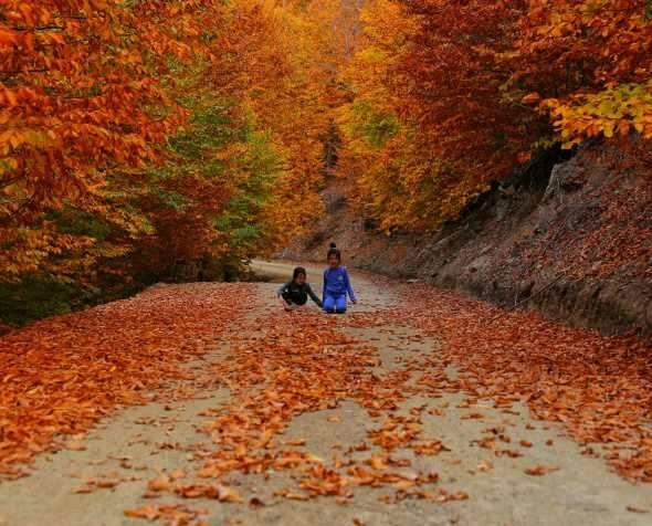 Kahramanmaraş'ta sonbahar renkleri