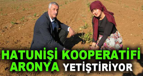 HATUNİŞİ KOOPERATİFİ ARONYA YETİŞTİRİYOR