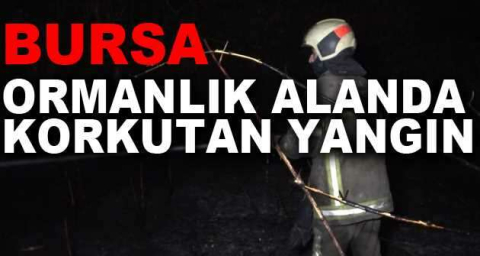 Bursa’da ormanlık alanda korkutan yangın