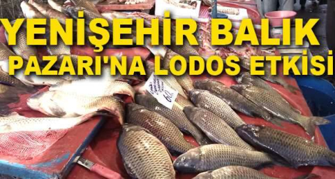 Yenişehir Balık Pazarı'na lodos etkisi