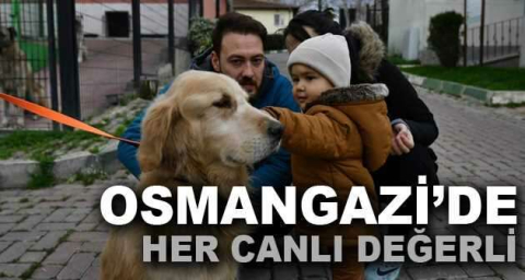 Osmangazi’de her canlı değerli