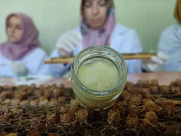 Kilosu 10 bin liradan satılıyor...Siparişlere yetişemiyor