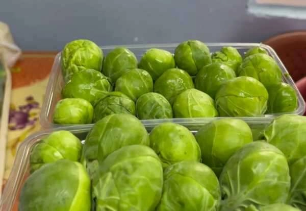 12 bin ton Brüksel lahanası ihraç ediliyor