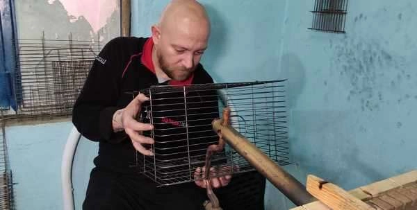  Yılda 14 bin kafes üretiyorlar