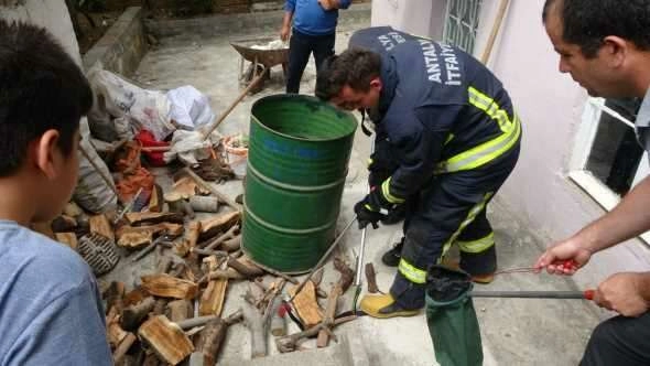 Odunlukta 2 metrelik yılan operasyonu