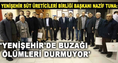 'YENİŞEHİR'DE BUZAĞI  ÖLÜMLERİ DURMUYOR'