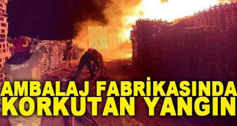  Ambalaj fabrikasında korkutan yangın, fabrikaya sıçramadan son anda söndürüldü