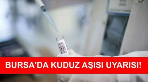 Bursa'da kuduz aşısı uyarısı