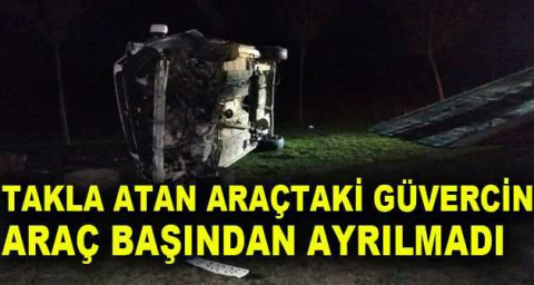 Takla atan araçtaki güvercin araç başından ayrılmadı