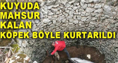 Kuyuda mahsur kalan köpek böyle kurtarıldı