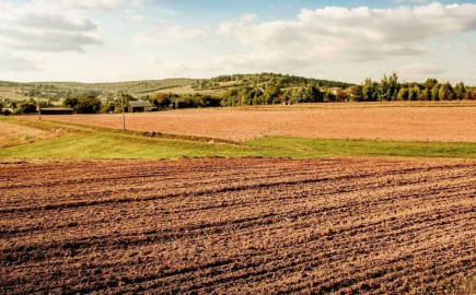 Sivas Altınyayla'da 5.384,95 m² tarla mahkemeden satılıktır