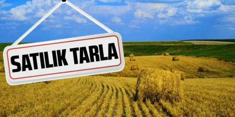 İzmir Foça'da 2.221 m² tarla mahkemeden satılıktır