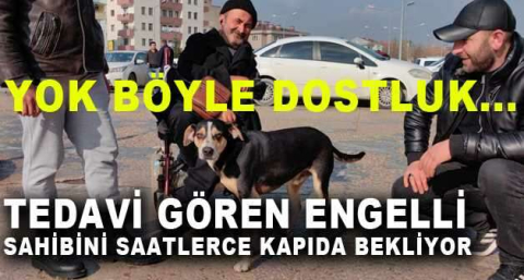 Yok böyle dostluk...Tedavi gören engelli sahibini saatlerce kapıda bekliyor