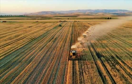 İzmir Menderes' te 1.308 m² tarla icradan satılıktır (hisseli satış)