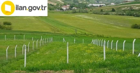 Mersin Erdemli 'de 2.692 m² tarla ve tek katlı 3+1 mesken mahkemeden satılıktır