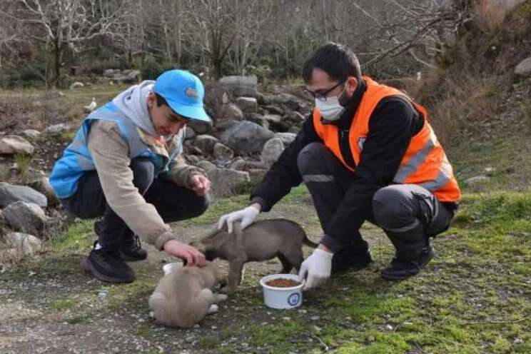 Can dostlarına "Yıldırım" şefkati