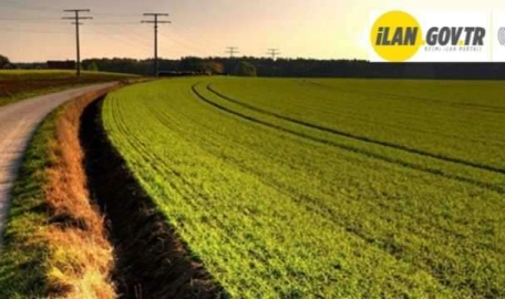 Konya Karatay'da 6519 m² tarla icradan satılıktır