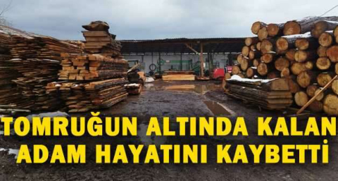 Tomruğun altında kalan adam hayatını kaybetti