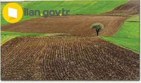 Çanakkale merkez Halileli Mahallesi'nde 2.745.971 m² tarla mahkemeden satılıktır (çoklu satış)