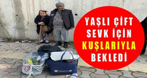 Yaşlı çift deprem bölgesinden başka şehre sevki için kuşlarıyla bekledi