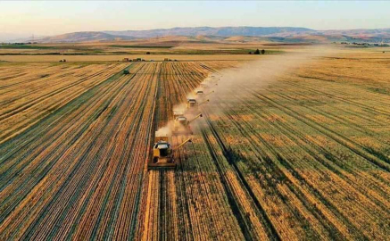 Sivas Kangal'da 12.895,30 m² tarla mahkemeden satılıktır